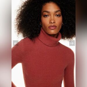 Wilfred free chenille turtleneck.